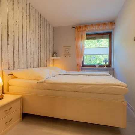 Seepferdchen Westerdeichstrich